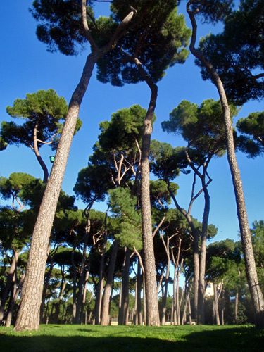 Rome, Borghese Park